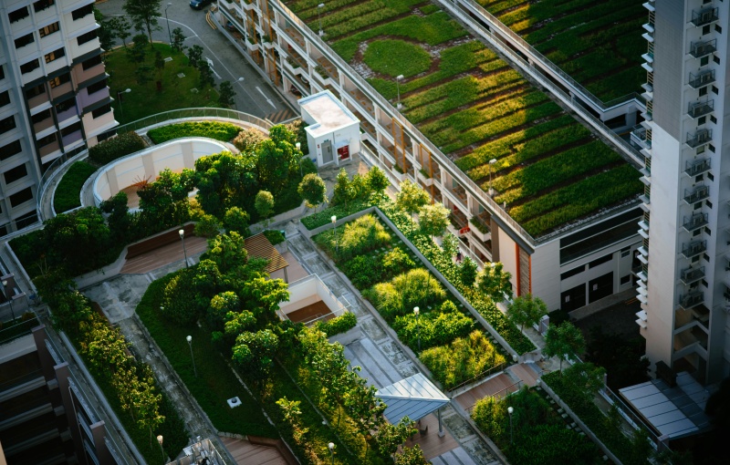 green_roof_office